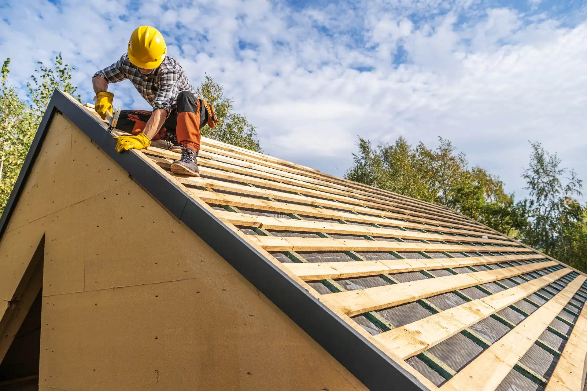 roofbg5.webp